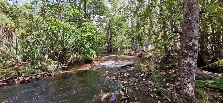 From Darwin: Litchfield National Park Small-Group Day Trip - Wangi Falls: Another Hour, Another Feel