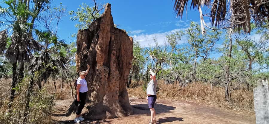 From Darwin: Litchfield National Park Small-Group Day Trip - Small Group Minivan Comfort: Getting Out of Darwin Without the Grind