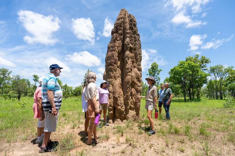 From Darwin: Litchfield National Park & Waterfalls Day Trip - Key highlights to look forward to