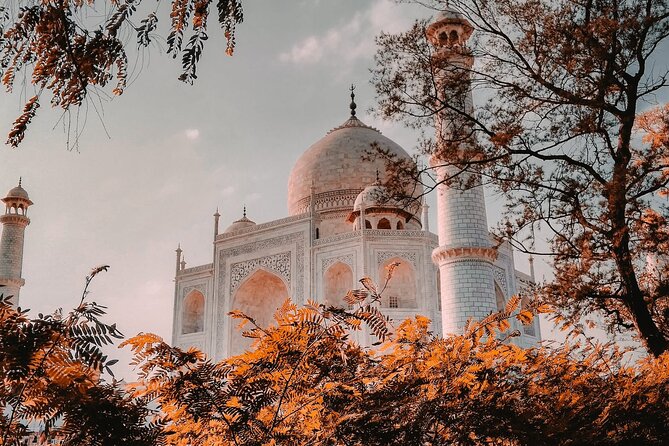 From Delhi : Private Day Trip to Taj Mahal & Agra Fort by Car - All Inclusive - What’s included (and what you should budget for)