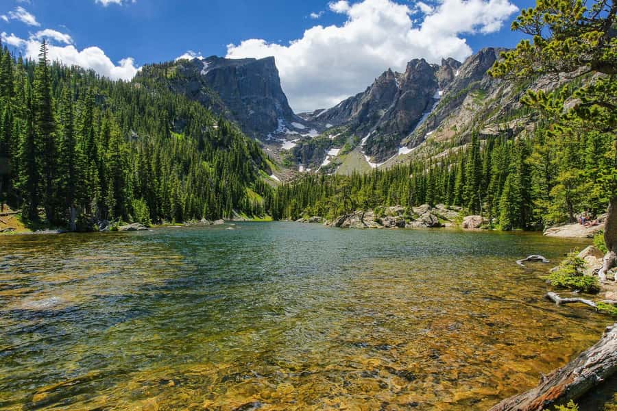 From Denver: Rocky Mountain National Park Day Trip and Lunch - Entrance fees and van logistics: the value piece behind the price