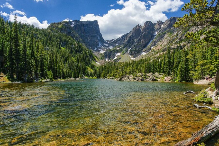 From Denver: Rocky Mountain National Park Day Trip and Lunch - Picnic lunch in the park: food that actually fits the day