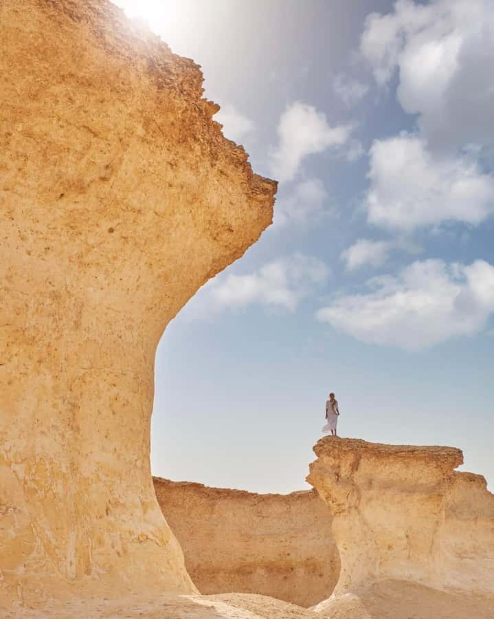 From Doha: Day Trip to North And West Qatar With Pickup - Zekreet Peninsula and Zekreet Fort: Wildlife Reserve Energy