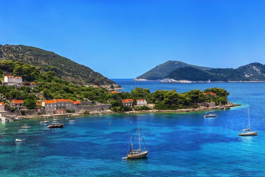 From Dubrovnik: Elaphite Islands Day Trip with Lunch - Sipan: Walk, Then Cool Off