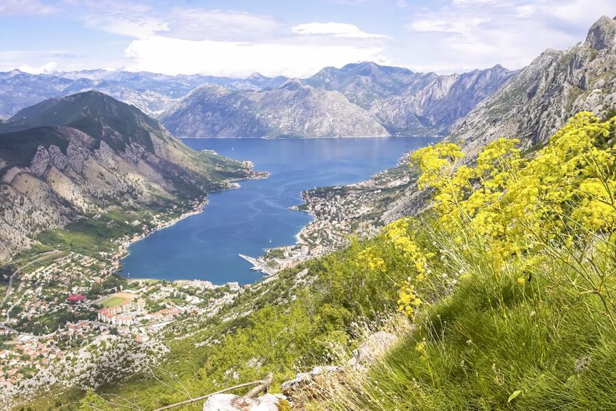 From Dubrovnik: Montenegro Day Trip - Kotor Old Town With Real Walking Time: Walls, Lanes, and Nautical Pride
