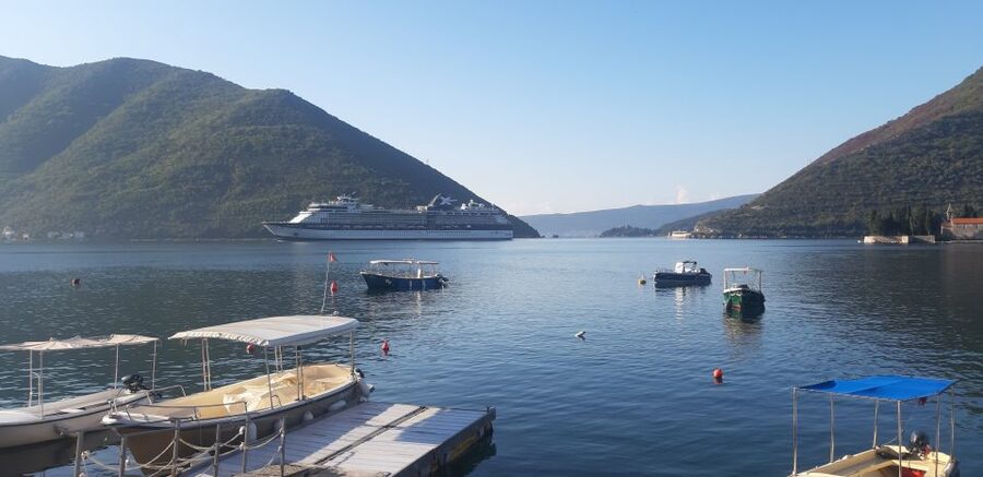 From Dubrovnik: Perast, Kotor & Budva Small-Group Day Trip - Small-Group Van Experience: Why 8 People Feels Easier