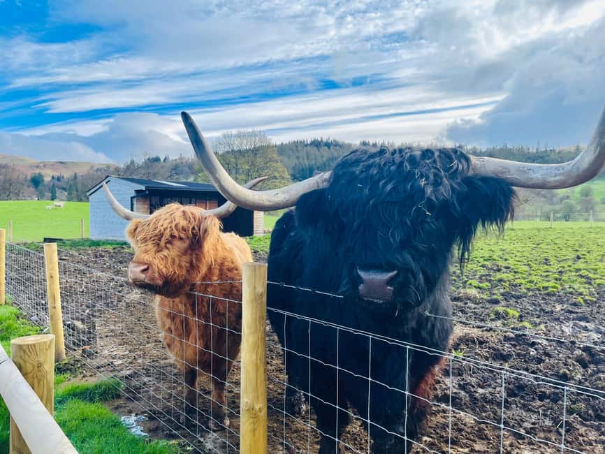 From Edinburgh: Loch Ness, Glencoe & The Highlands Day Trip - Key highlights to look for
