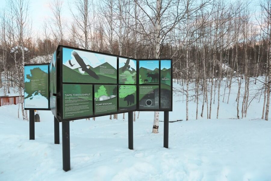 From Fairbanks: Arctic Circle Northern Lights Full-Day Trip - Crossing 66.5622° and the Arctic Circle moment that feels real
