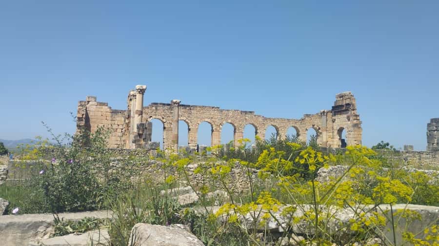 From Fes: Meknes Volubilis and Moulay Idriss Day Trip - Price and value: how the $23 per person really plays out