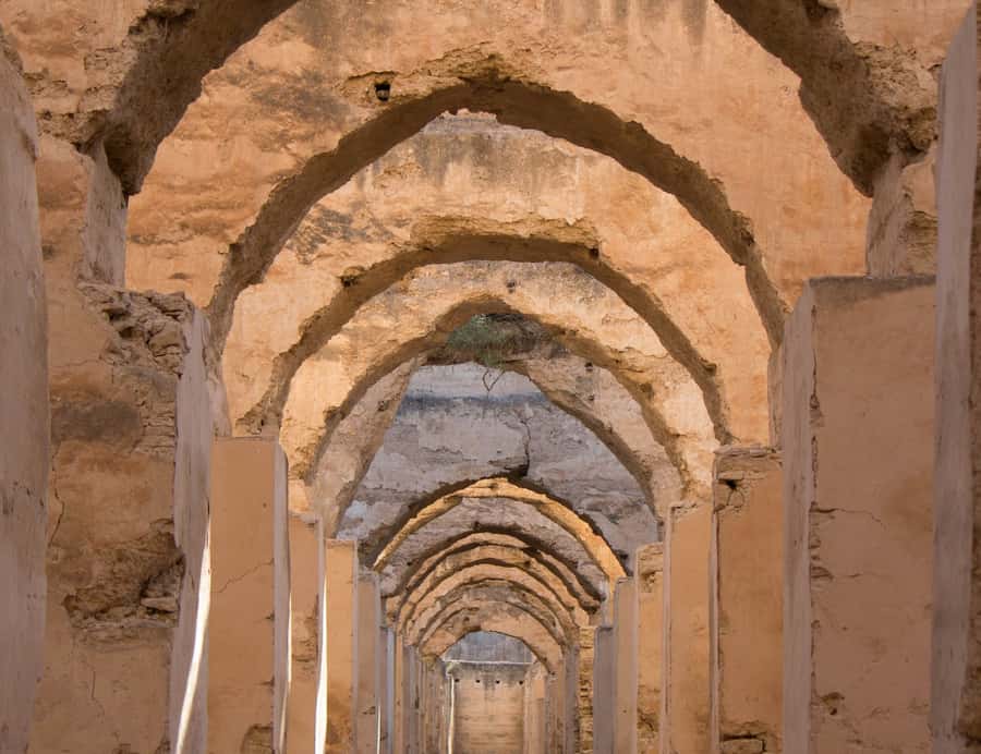 From Fes: Volubilis, Moulay Idriss and Meknes Full-Day Trip - Getting There From Fes: What Hotel Pickup Actually Feels Like