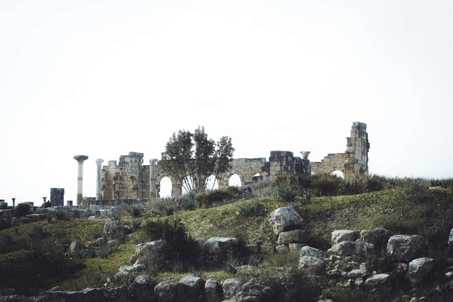 From Fes: Volubilis, Moulay Idriss and Meknes Full-Day Trip - Volubilis: Roman Ruins With Time to Look (Not Just Walk By)