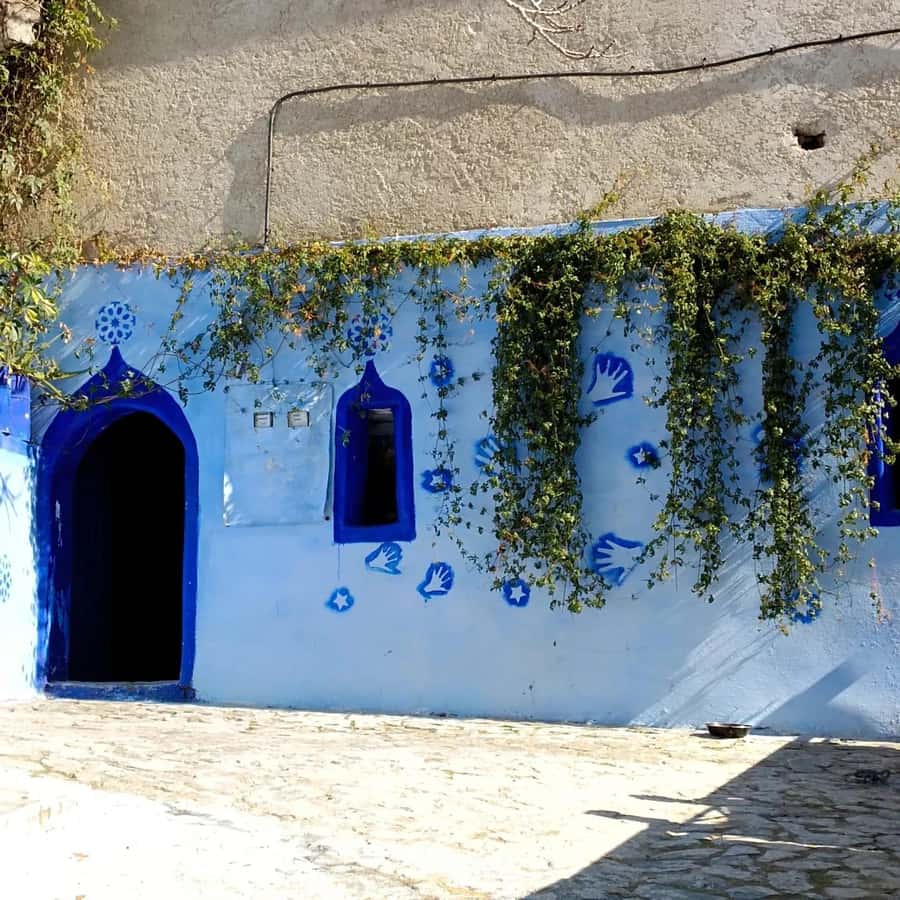From Fez : Memorable Day Trip to Chefchaouen the Blue City - Rif Mountains Stops: Sedd Sid Echahed Dome Lake and Motel Rif