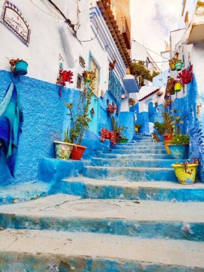 From Fez : Memorable Day Trip to Chefchaouen the Blue City - Pickup in Fes: Near Bab Boujloud or Recif, Plus a Tea-Start