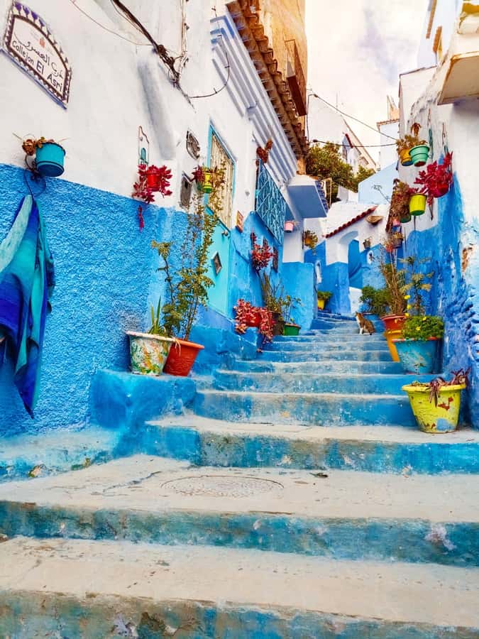 From Fez : Memorable Day Trip to Chefchaouen the Blue City - Pickup in Fes: Near Bab Boujloud or Recif, Plus a Tea-Start