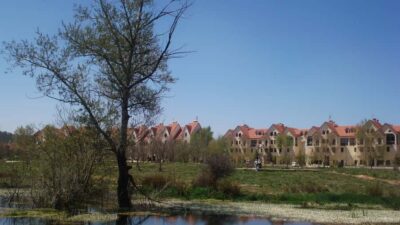 From Fez: Middle Atlas and Monkey Forest Day Trip - Immouzar: cave homes and mountain-town rhythm