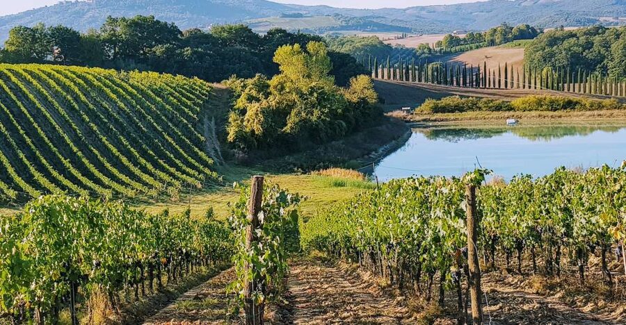 From Florence: Chianti Wine Tastings at Sunset Day Trip - Key Things That Make This Chianti Sunset Trip Worth It