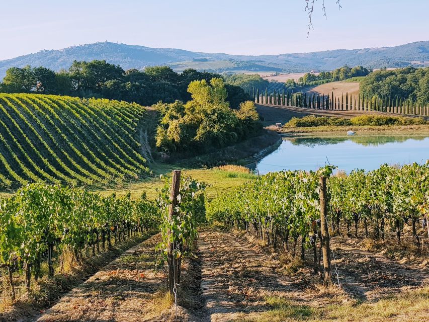 From Florence: Chianti Wine Tastings at Sunset Day Trip - The Drive and the Photo Stops: A Scenic Route, Not Just Transit