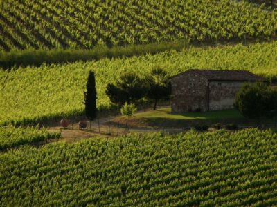 From Florence: Chianti Wine Tastings at Sunset Day Trip - Meeting Point and Getting There Without Stress