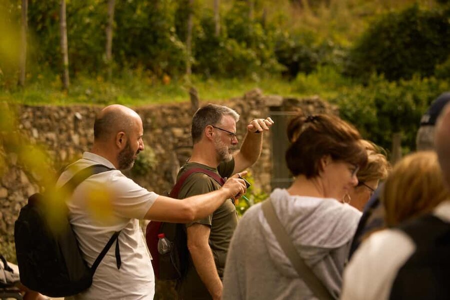 From Florence: Cinque Terre Day Trip with stop in Pisa - From Florence to the Ligurian Coast: a comfortable, efficient start