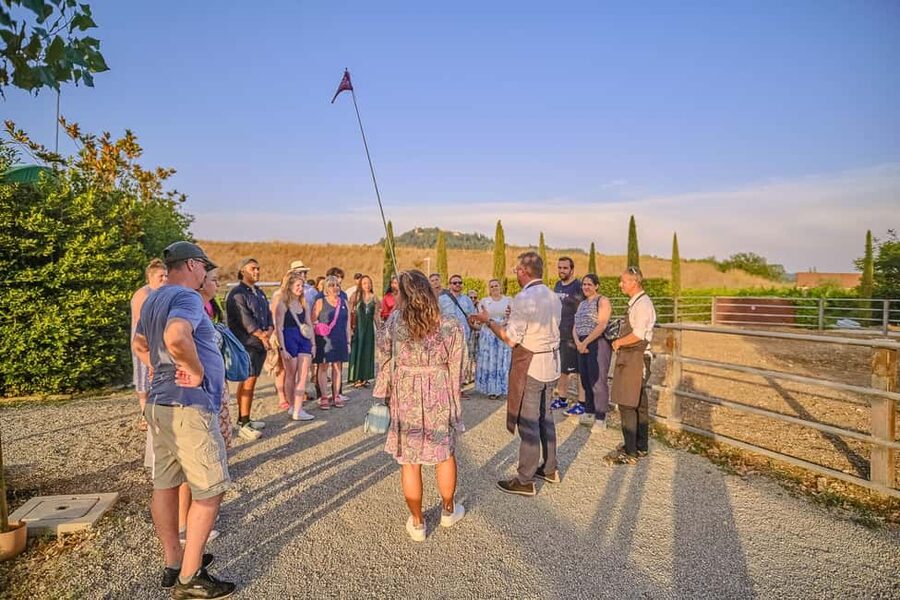 From Florence: Siena and Chianti Day Trip with Dinner - Practicalities that actually affect your comfort