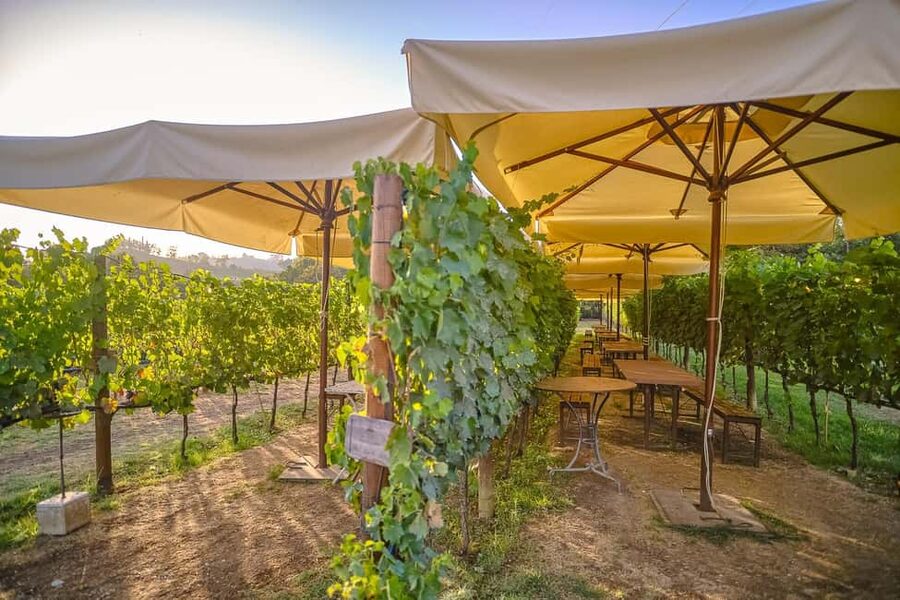 From Florence: Siena and Chianti Day Trip with Dinner - Who should book this Siena and Chianti dinner day