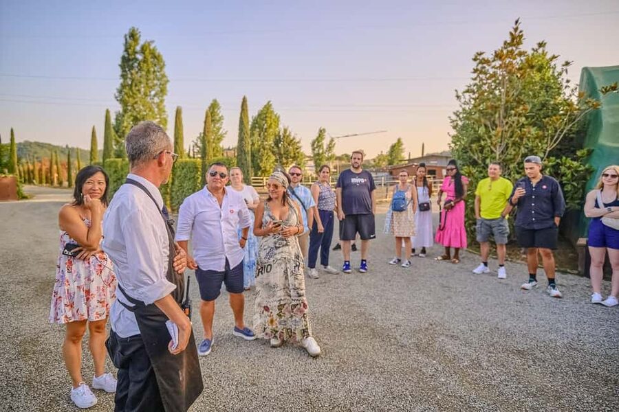 From Florence: Siena and Chianti Day Trip with Dinner - Should you book this Florence to Siena and Chianti day trip?