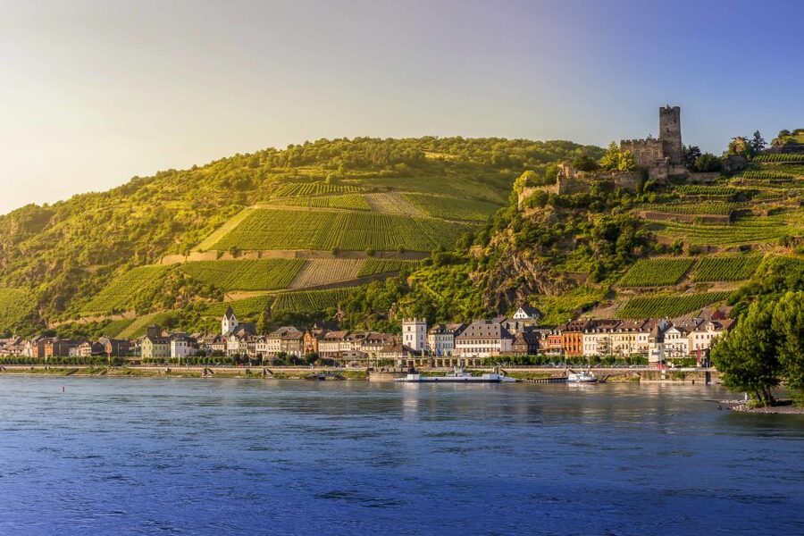 From Frankfurt: Rhine Valley Day Trip - Wine-growing history lesson and the Assmannshausen tasting: fun context, not a winery tour