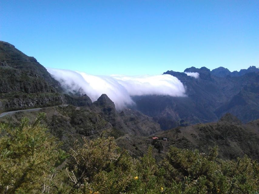 From Funchal: West Madeira and Laurel Forest Day Trip - Ribeira da Janela to Porto Moniz: Rock Sculptures and Volcanic Pools You Can Swim