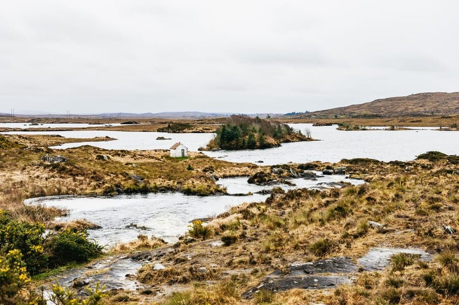 From Galway: Connemara and Connemara National Park Day Trip - Value and budgeting: what $57 really buys you