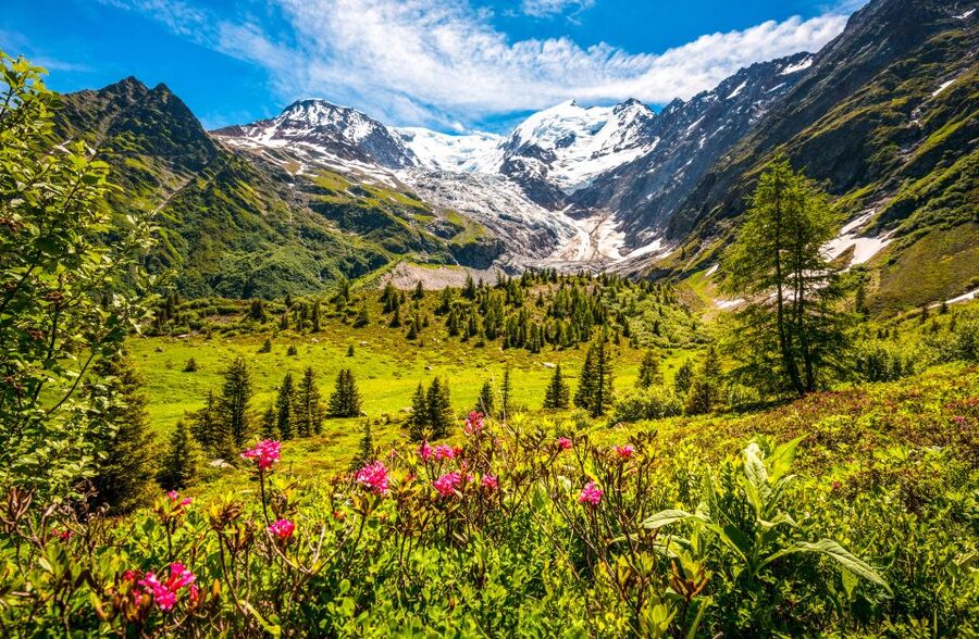 From Geneva: Chamonix Mont-Blanc Private Day Trip - Price and Value: Is $706 per Person Worth It?