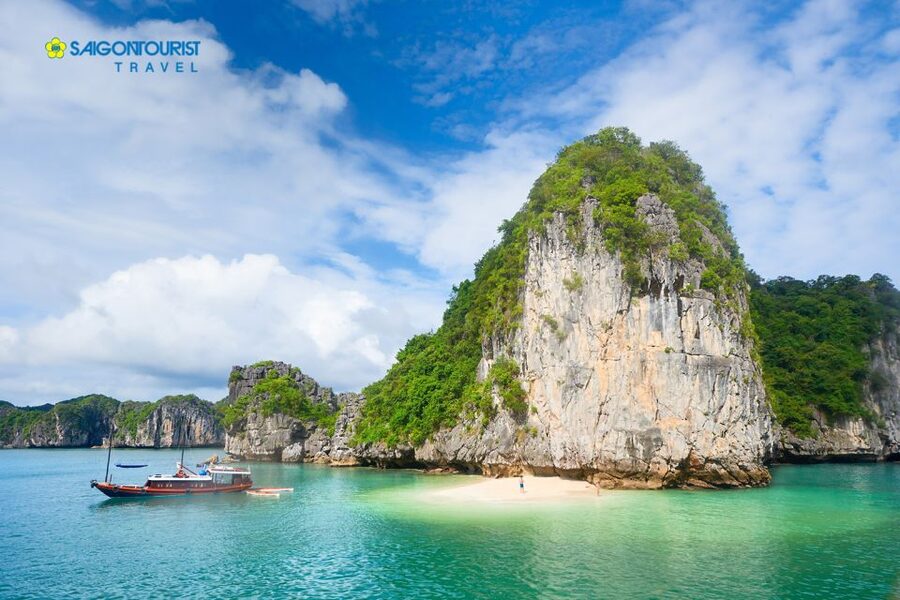 From Hanoi: Halong Bay Day Trip with Lunch and Transfers - Titop Island hike and Titop Beach swimming time