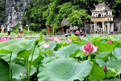 From Hanoi: Hoa Lu, Tam Coc, and Mua Cave Scenic Day Trip - Hoa Lu temples in two hours: Dinh and Le, explained simply
