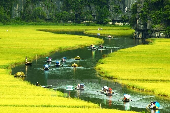 From Hanoi: Hoa Lu, Tam Coc, and Mua Cave Scenic Day Trip - Guide energy: why Mr Lợi makes the whole itinerary click