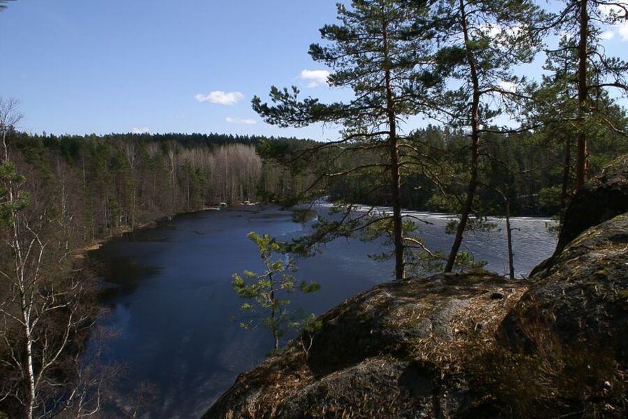 From Helsinki: Nuuksio National Park Half-Day Trip - Helsinki to Nuuksio National Park: getting there without drama
