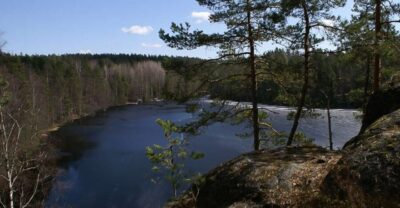 From Helsinki: Nuuksio National Park Half-Day Trip - Nuuksio with a biologist guide: what you’ll learn on the trail