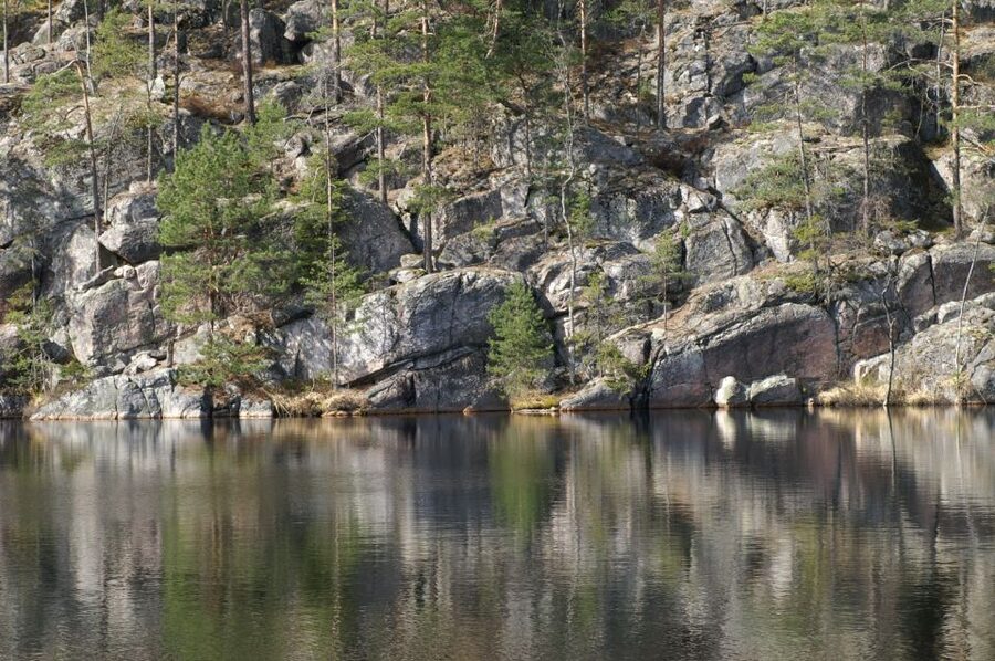 From Helsinki: Nuuksio National Park Half-Day Trip - Should you book the Nuuksio half-day trip from Helsinki?