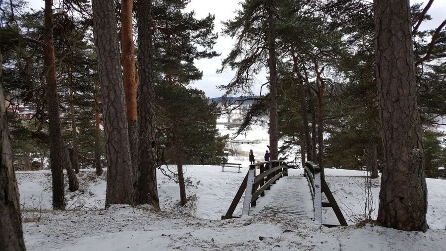 From Helsinki: Porvoo Guided Day Trip with Transportation - Should you book this guided Porvoo trip?