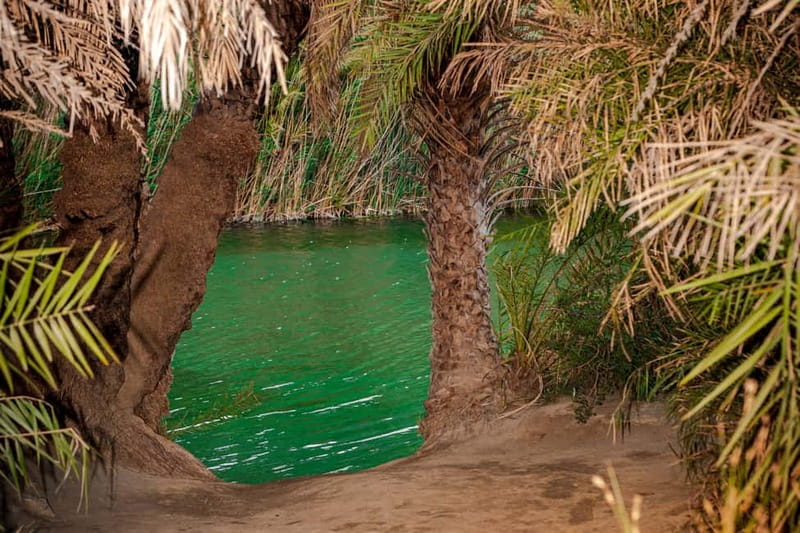 From Herakleion: Day Trip to Preveli Palm River Beach - Riverside hike to the Theophrastus palm forest