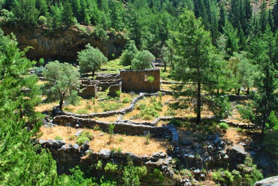 From Heraklion: Samaria Gorge & Agia Roumeli Hiking Day Trip - The Ferry Back to Chora Sfakia: Trading Trails for Sea Views
