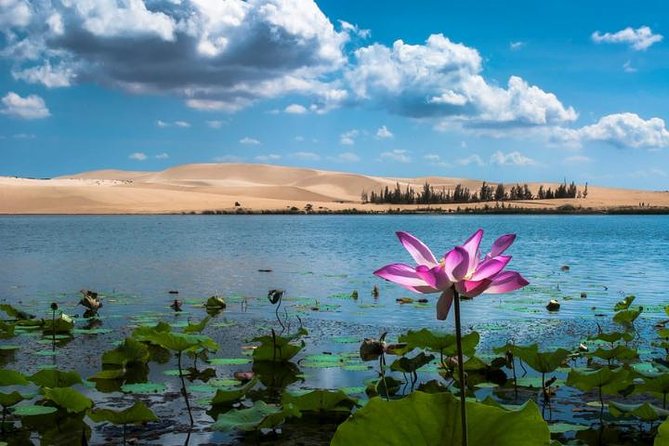 From Ho Chi Minh To Mui Ne Best Day Trip | Sunset Tour - Start at 229 Pham Ngu Lao: early meeting, clean flow