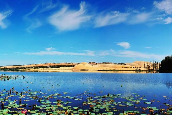 From Ho Chi Minh To Mui Ne Best Day Trip | Sunset Tour - Sand sliding board: cheap fun, cash on hand