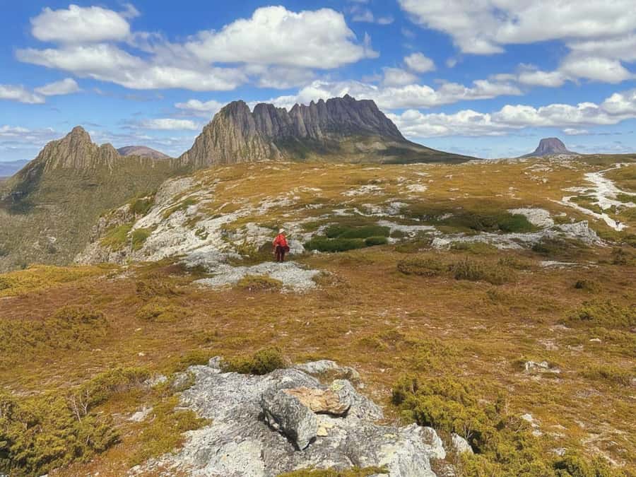 From Hobart: Active Day Trip to Cradle Mountain - Price and Value: Is $184 Worth a 600 km Day?