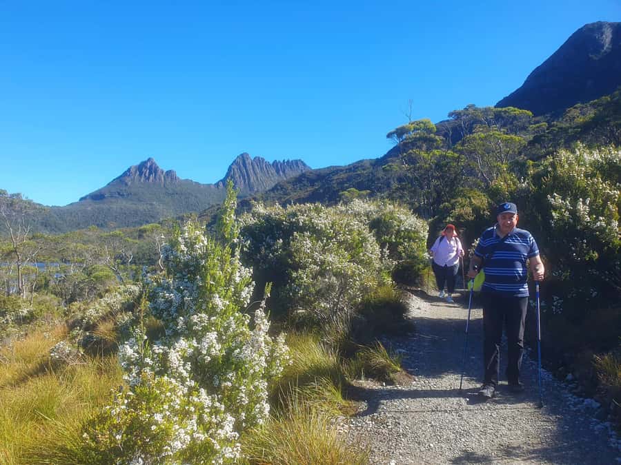 From Hobart: Active Day Trip to Cradle Mountain - Wildlife Time: Wombats Are the Star, but Keep Your Eyes Open