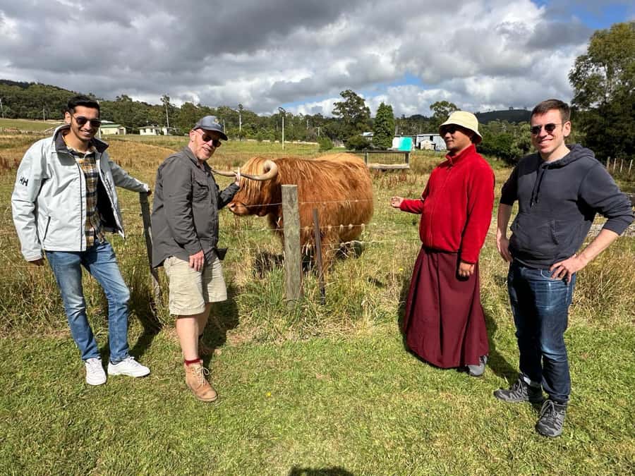 From Hobart: Active Day Trip to Cradle Mountain - Dinner and the Return to Hobart: Wrapping the Day Without Feeling Wiped Out