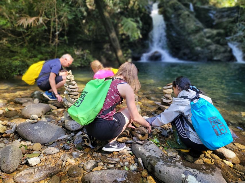 From Hue: Bach Ma National Park Hiking Day Trip with Pickup - Why Bach Ma feels like a break from coastal Vietnam