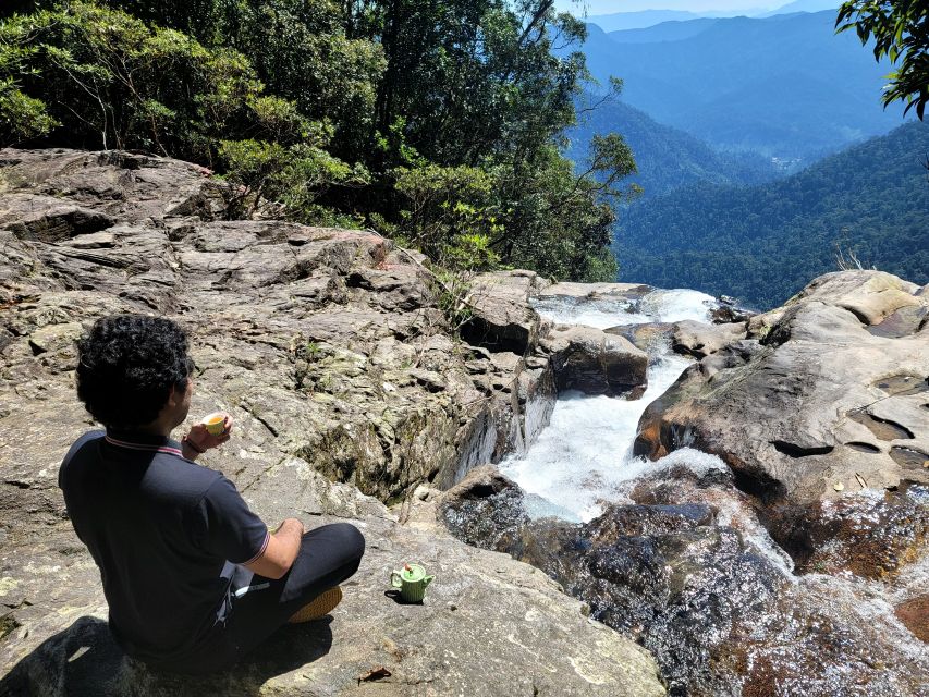 From Hue: Bach Ma National Park Hiking Day Trip with Pickup - Picnic lunch and tea/coffee: the break that doesn’t ruin the momentum