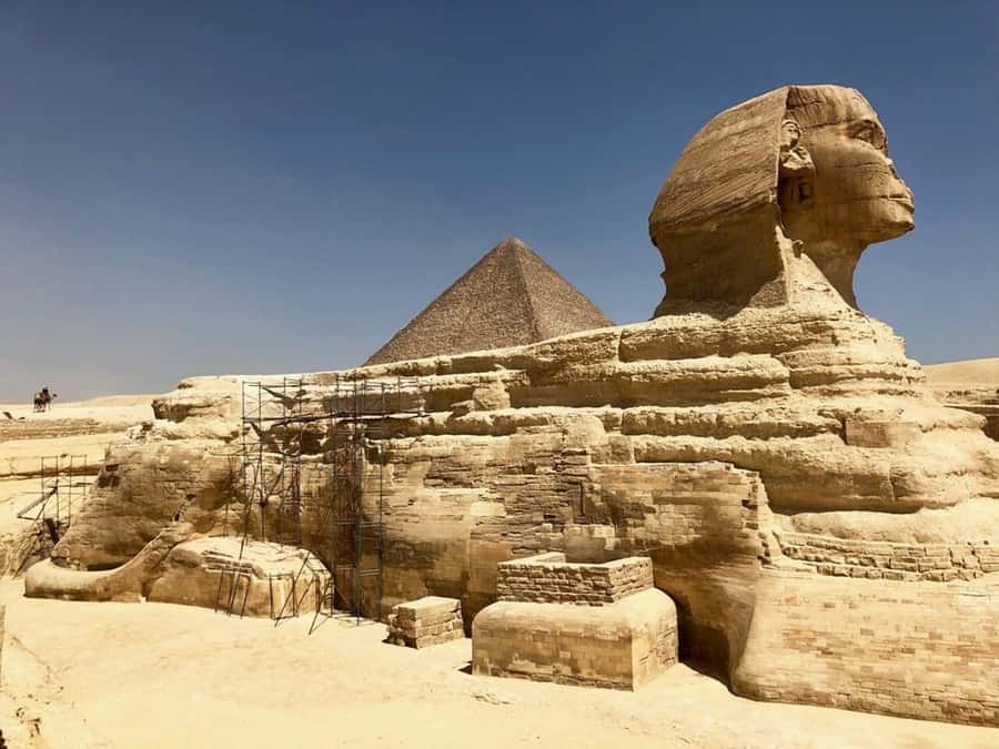 From Hurghada: Full-Day Trip to Cairo by Plane - Egyptologist-Style Guidance: Getting More Out of Every Stop