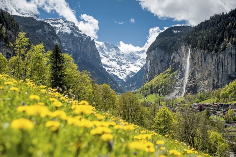 From Interlaken: Guided Tour to Jungfraujoch - Top of Europe - Price and value: is $342 worth the cost?