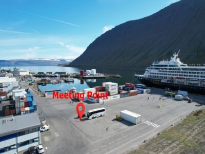 From Isafjordur: Dynjandi Waterfall Guided Day Trip by Bus - Getting From Isafjordur to the Falls: The 3.5-Hour Bus Plan That Works