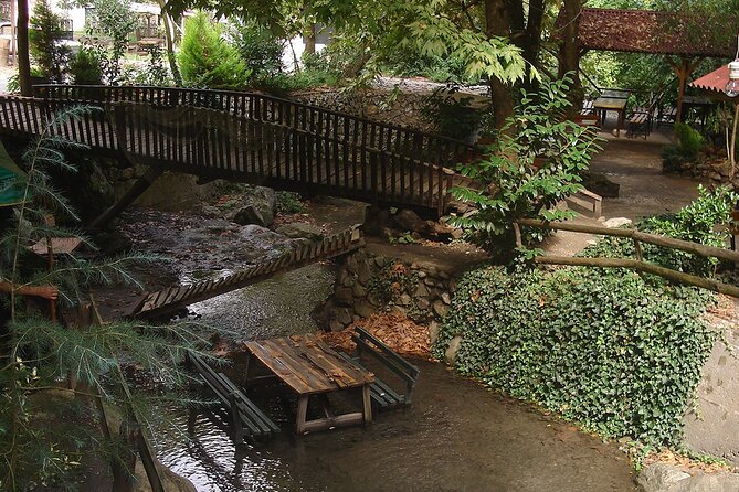 From Istanbul: Sapanca and Masukiye Day Trip with Lunch - Mahmudiye Village: Zipline and Water Activities for Action Lovers